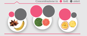 Interazioni percettive: concentrazione in tioli / esteri dei vini rosati