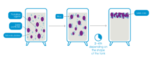 How the process of must flotation and flocculation takes place inside the tank.